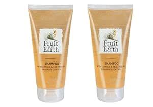 Buy Fruit Of Earth Shampoo With Arnica & Tea Tree Oil (Dandruff Control ...