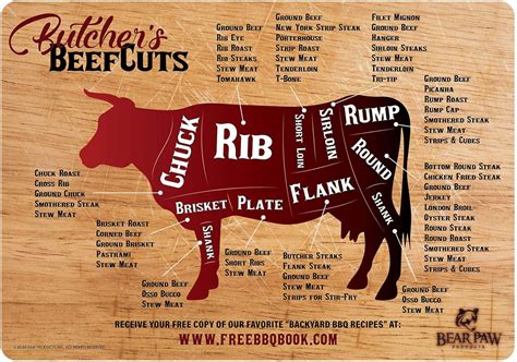 Bear Paws Butcher Shop Meat Cuts Magnet Pack - India | Ubuy