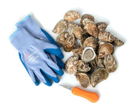 Collections - Island Creek Oysters | Buy Oysters Online | Buy Caviar Online