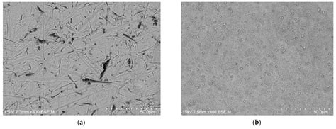 Anodic Production and Characterization of Biomimetic Oxide Layers on ...