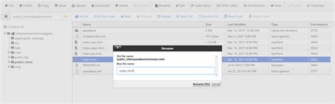 +SpeedBridge Practice Server 的图像结果