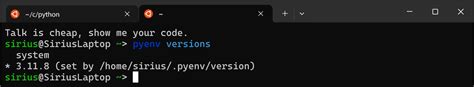 Visual Studio Code Python Code Runner Configuration 的图像结果