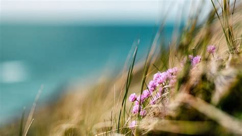 Paysage Ete - Photos : téléchargez gratuitement des images de haute ...