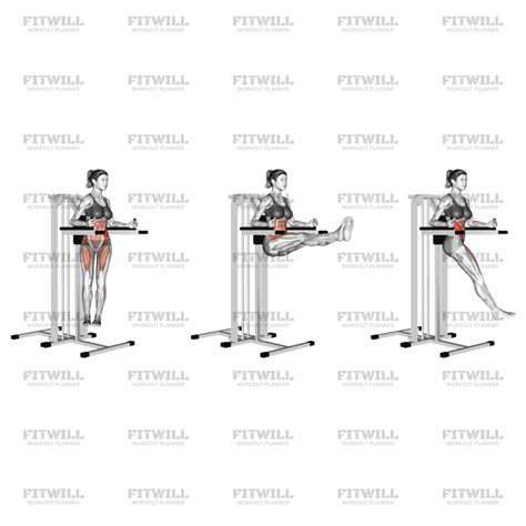 Twisted Leg Raise: Exercise Guide, Video, Techniques, Benefits, How to, Muscles Worked, Tips ...