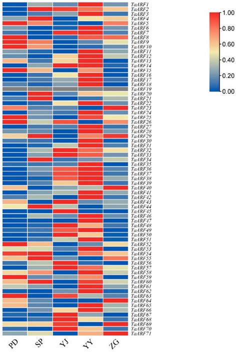 Identification and Evolutionary Analysis of the Auxin Response Factor ...