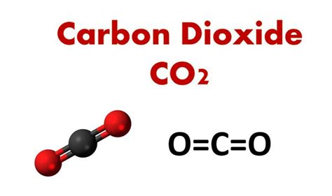 What To Do About CO₂? | Lesson Plan