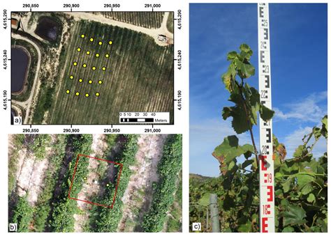3-D Characterization of Vineyards Using a Novel UAV Imagery-Based OBIA ...