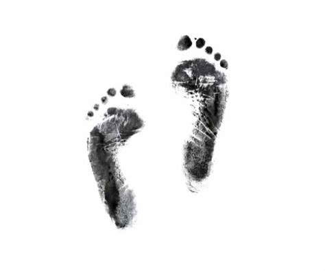 Image result for Three Prints Using Your Printing Plate