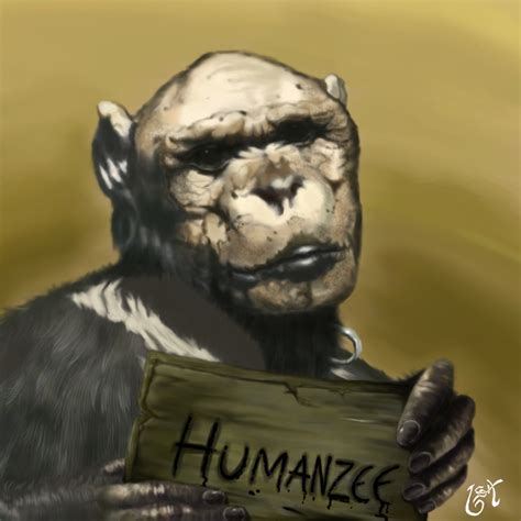 Oliver The Chimpanzee