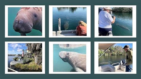 Manatee Sightseeing Cruise , Homosassa Springs Marina, March 5 2024 ...