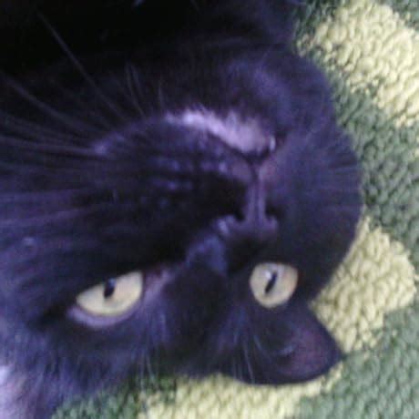 Buy Lattafa Atlas Unisex Eau De Parfum 55ML - LUP Atlas 55 Online at ...