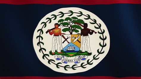 Belize flag waving animation. Full Screen. Symbol of the country. 4K ...