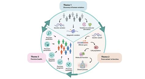 Genetics Examples 的图像结果
