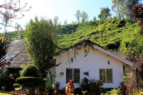 THE TRYST (Coonoor) - Guesthouse Reviews & Photos - Tripadvisor