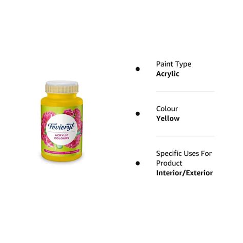 Fevicryl Acrylic Colour, Art &Craft Paint, DIY Paint, Rich Pigment ...
