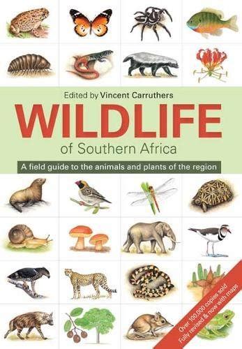 The Wildlife Of South Africa A Field Guide To Animals | Desertcart INDIA