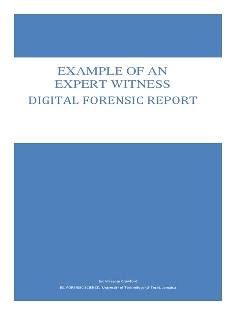 Expert Witness Example 的图像结果