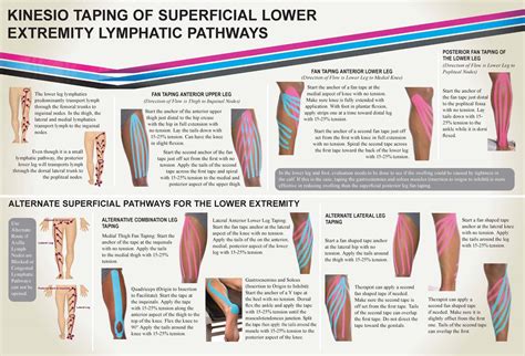 Types Of Kinesio Taping at Yvonne Hosford blog
