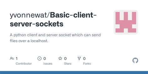 Python Sockets and Client Server 的图像结果
