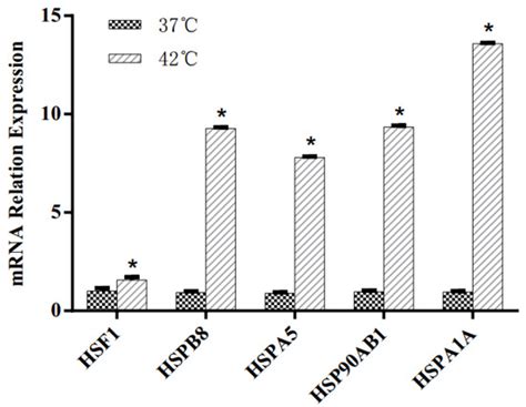 Effect of Heat Stress on Bovine Mammary Cellular Metabolites and Gene ...