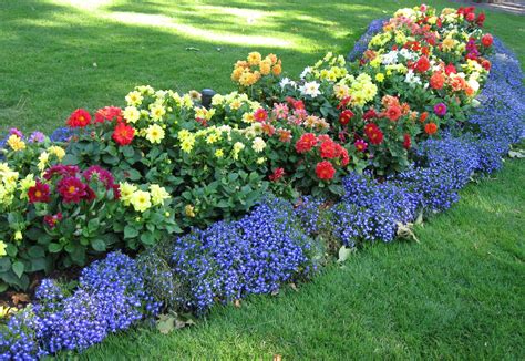 Flower Border for Garden Decor