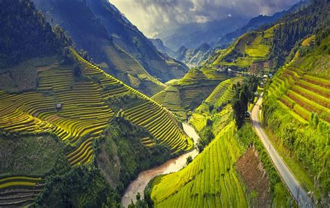 Image result for Vietnam Shell Exploding