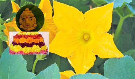 Bathukamma 2023 : బతుకమ్మ సిగలో ‘గుమ్మడి పువ్వు’ పసుపు గౌరమ్మ కొలువు ...