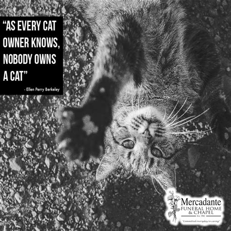 Mercadante Funeral Home & Chapel | Worcester MA