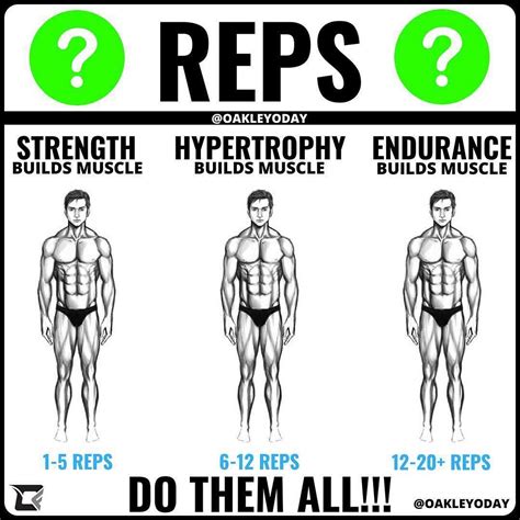 What Are Sets And Reps at Evelyn Diann blog