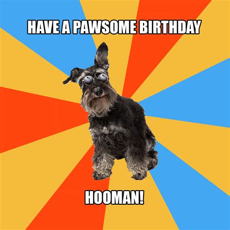 Funny Happy Birthday Meme Dog