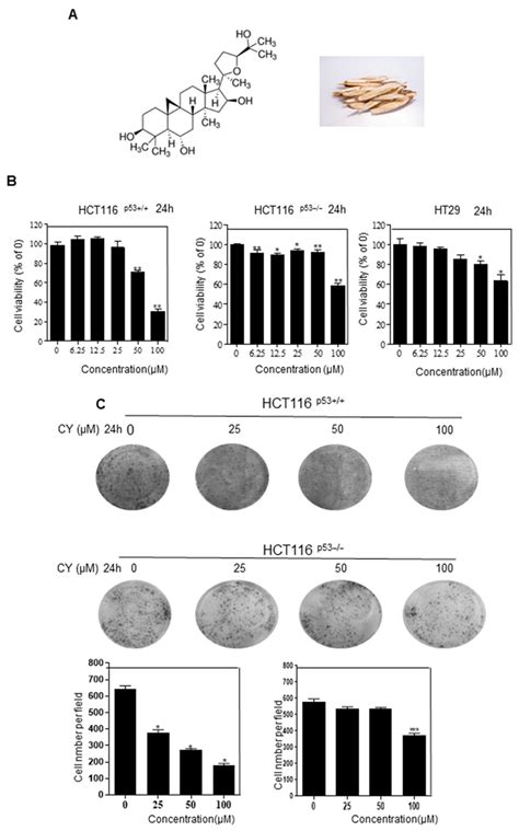 Antitumor Effect of Cycloastragenol in Colon Cancer Cells via p53 ...