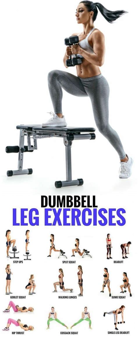 Gyms To Workout #GymsThatOfferClasses #GymMotivation | Leg workout, Lower body workout, Fitness jobs