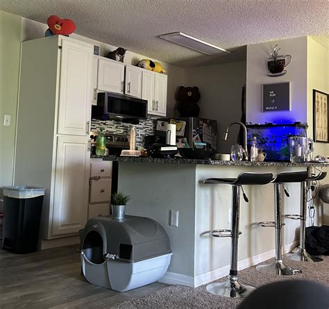 can you find both cats? :) : r/FindTheSniper
