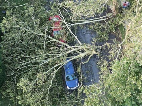 No tornado in N.J. in latest storms. Damage was from 95 mph winds ...
