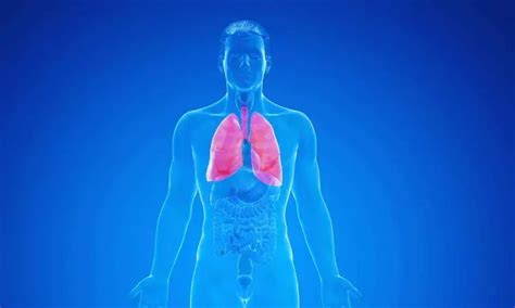 Elevated Cardiovascular Disease Risks Observed in Idiopathic Pulmonary ...
