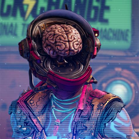 Borderlands 3 [UNRELEASED HEADS & SKINS] New | Ubuy India