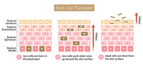 Cleanroom Contamination from Cole-Parmer India