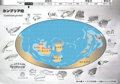Image result for Hyper Realistic Java Map