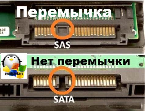 Как подключить SAS диск через SATA | Настройка серверов windows и linux