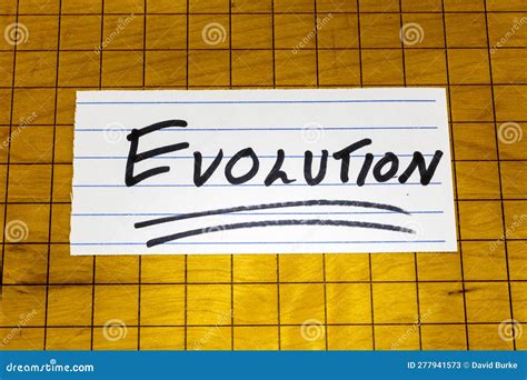 Image result for Creationism Vs Evolution