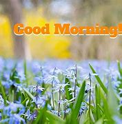 Image result for Good Morning Spring Landscape Images
