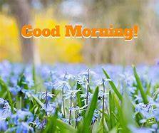 Image result for Free Pictures of Good Morning Spring