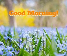 Image result for Good Morning Spring Forward