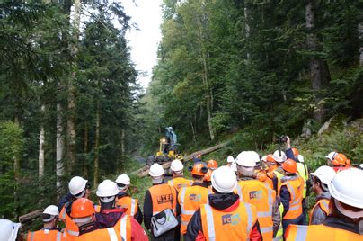IUFRO - Health, Safety and Social Dimensions of Forest Restoration ...