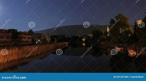 Image result for Basic Function Graphs