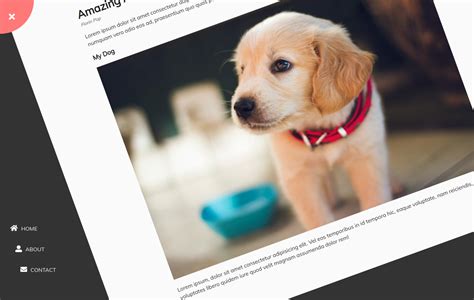 Image result for Animated Projects Using HTML CSS and JavaScript