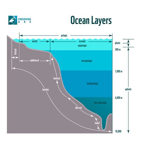 Ocean Layers Geographyoceanoceanlayerspnghtml