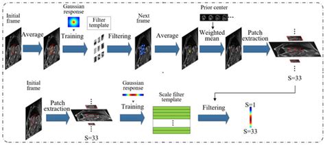 A Convolutional Neural Network Combining Discriminative Dictionary ...