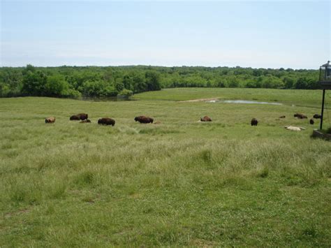 Wildlife Prairie Park , hanna city, United States Of America - Top ...