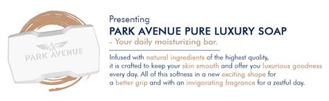 Buy Park Avenue Premium Men’s Soap, Shea Butter+ Coconut Oil, 125g (BUY ...